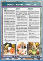 Стенд "Белки. Жиры. Углеводы" - fgospostavki.ru - Апрелевка