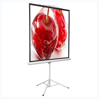 Экран на штативе DSKD-1106 - fgospostavki.ru - Апрелевка