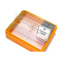 Набор готовых микропрепаратов (зоология) - fgospostavki.ru - Апрелевка