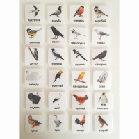 Набор карточек "ПТИЦЫ" - fgospostavki.ru - Апрелевка