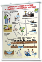 Плакаты по общей экологии для оформления кабинета. - fgospostavki.ru - Апрелевка