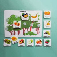 Пособие "Овощи и фрукты" - fgospostavki.ru - Апрелевка