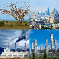 Модель-аппликация Биосфера и человек - fgospostavki.ru - Апрелевка