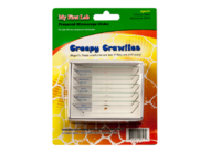 Набор микропрепаратов для микроскопа №2 «Насекомые» - fgospostavki.ru - Апрелевка