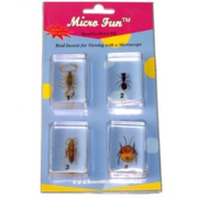 Набор микропрепаратов для стереомикроскопа №14 «Насекомые» - fgospostavki.ru - Апрелевка