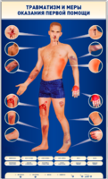 Электрифицированный стенд-тренажер "Травматизм и меры оказания первой помощи" - fgospostavki.ru - Апрелевка