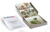 Модель-аппликация "Взаимодействия в природных сообществах" (набор из 23 карт) - fgospostavki.ru - Апрелевка