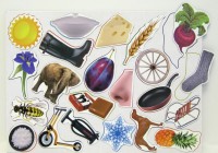 Магнитное развивающее пособие "Упрямые звуки" Звук "С" - fgospostavki.ru - Апрелевка