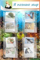 Стенд "Я познаю мир" - fgospostavki.ru - Апрелевка