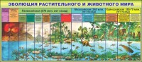 Стенд "Эволюция растительного и животного мира" - fgospostavki.ru - Апрелевка