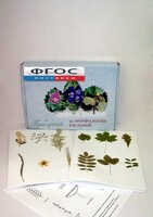 Гербарий "Морфология растений" (5 тем х 3 листа) - fgospostavki.ru - Апрелевка