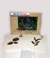 Гербарий "Дикорастущие растения" (28 видов) - fgospostavki.ru - Апрелевка