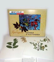 Гербарий "Деревья и кустарники" (20 видов) - fgospostavki.ru - Апрелевка