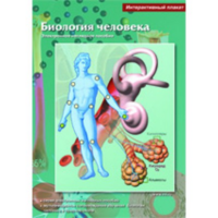 Интерактивные плакаты. Биология человека. Программно-методический комплекс - fgospostavki.ru - Апрелевка