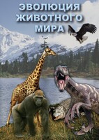 DVD "Эволюция животного мира" - fgospostavki.ru - Апрелевка