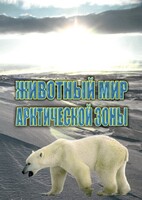 DVD "Животный мир Арктической зоны" - fgospostavki.ru - Апрелевка
