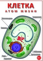 DVD "Клетка - "атом жизни" - fgospostavki.ru - Апрелевка
