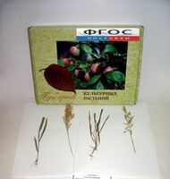 Гербарий "Культурные растения" (28 видов) - fgospostavki.ru - Апрелевка