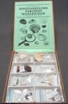 Коллекция "Многообразие раковин моллюсков" - fgospostavki.ru - Апрелевка