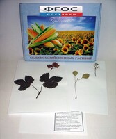 Гербарий "Сельскохозяйственные растения" (28 видов) - fgospostavki.ru - Апрелевка