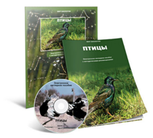 Электронное наглядное пособие «Птицы» - fgospostavki.ru - Апрелевка
