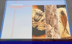 Коллекция "Палеонтологическая" (16 образцов) - fgospostavki.ru - Апрелевка