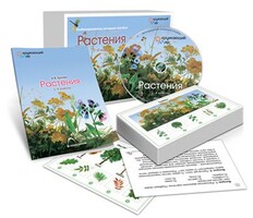 Комбинированное наглядное пособие «Растения» - fgospostavki.ru - Апрелевка