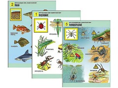 Комплект таблиц "Окружающий мир. Животный мир" (8 таблиц, А1, ламинированные) - fgospostavki.ru - Апрелевка