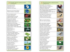 Комплект карточек (10) "Обучающий калейдоскоп. Природа" - fgospostavki.ru - Апрелевка