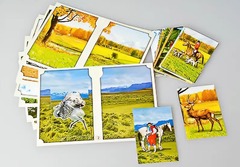 Настольно-печатная игра "Вокруг света" - fgospostavki.ru - Апрелевка