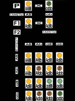 Модель-аппликация "Дигибридное скрещивание" (ламинированная) - fgospostavki.ru - Апрелевка