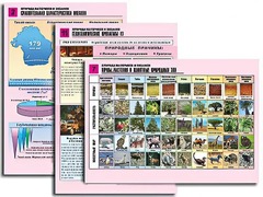 Комплект таблиц по географии "Природа материков и океанов" раздаточные (цветные, ламинированные, А4, 12 штук) - fgospostavki.ru - Апрелевка