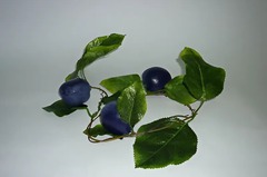 Ветка муляжей "Слива" - fgospostavki.ru - Апрелевка