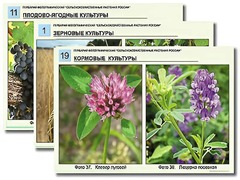 Гербарий фотографический "Сельскохозяйственные растения России" - fgospostavki.ru - Апрелевка