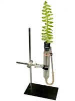 Прибор для демонстрации всасывания воды корнями - fgospostavki.ru - Апрелевка