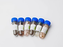 Набор № 6 ОС Щелочные и щелочноземельные металлы - fgospostavki.ru - Апрелевка