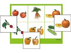 Логопедическое лото "Овощи" (4 планшета, 24 карточки, цветное, ламинированное) - fgospostavki.ru - Апрелевка