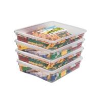 Набор для конструирования «Фанкластик: весь мир в руках твоих 4 (4-5 лет)» - fgospostavki.ru - Апрелевка