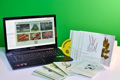 Гербарий натурально-интерактивный "Лекарственные растения" - fgospostavki.ru - Апрелевка