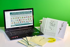 Гербарий натурально-интерактивный "Сельскохозяйственные растения" - fgospostavki.ru - Апрелевка