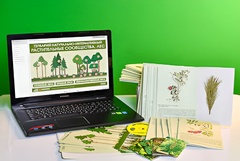 Гербарий натурально-интерактивный "Растительные сообщества. Лес" - fgospostavki.ru - Апрелевка