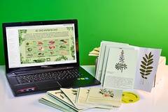 Гербарий натурально-интерактивный "Культурные растения" - fgospostavki.ru - Апрелевка