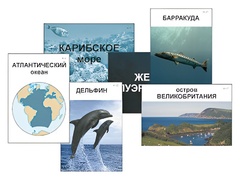 Модель-аппликация "Океаны. Знакомство" (ламинированная) - fgospostavki.ru - Апрелевка