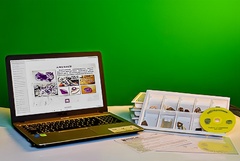 Коллекция натурально-интерактивная "Кварц в природе" - fgospostavki.ru - Апрелевка