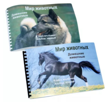 Пособие для слабовидящих - Домашние животные - fgospostavki.ru - Апрелевка