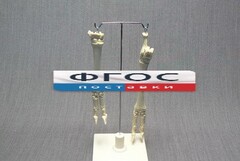 Скелет конечности овцы (передняя и задняя) на подставке - fgospostavki.ru - Апрелевка