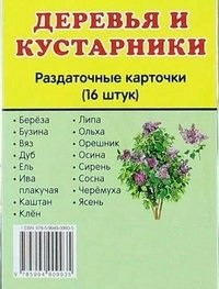 Раздаточные карточки "Деревья и кустарники" - fgospostavki.ru - Апрелевка