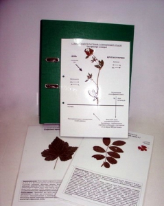 Гербарий к курсу основ общей биологии (20 листов, ламинированный) - fgospostavki.ru - Апрелевка