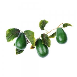 Ветка муляжей "Авокадо" - fgospostavki.ru - Апрелевка