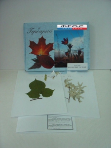 Гербарий "Медоносные растения" (24 вида) - fgospostavki.ru - Апрелевка